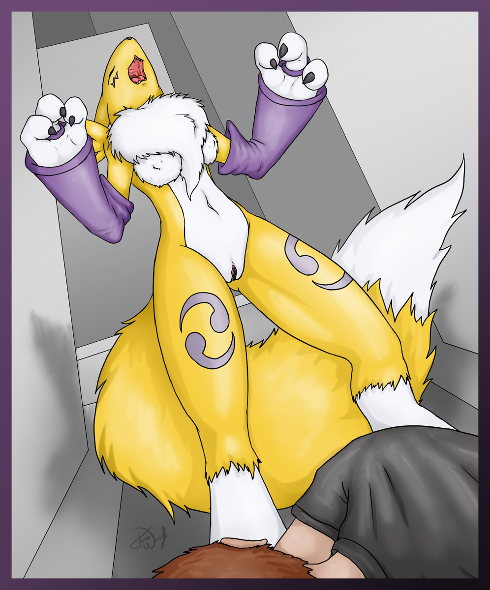 Renamon Porn Image