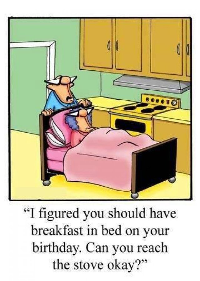 adult sex cartoon pics funny cartoon meme bed breakfast