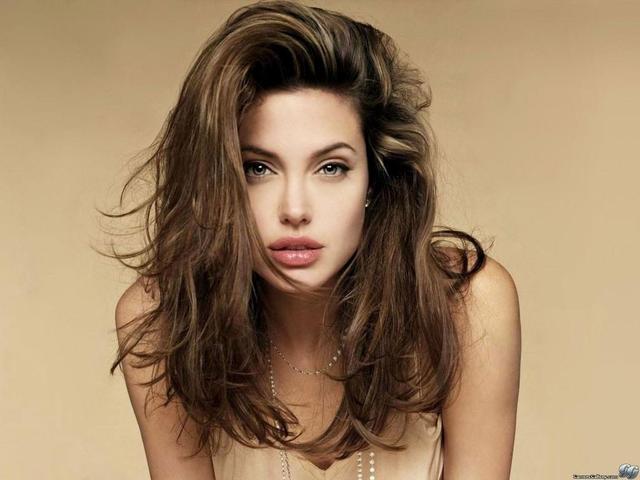 Angelina Jolie Porn Image 13792