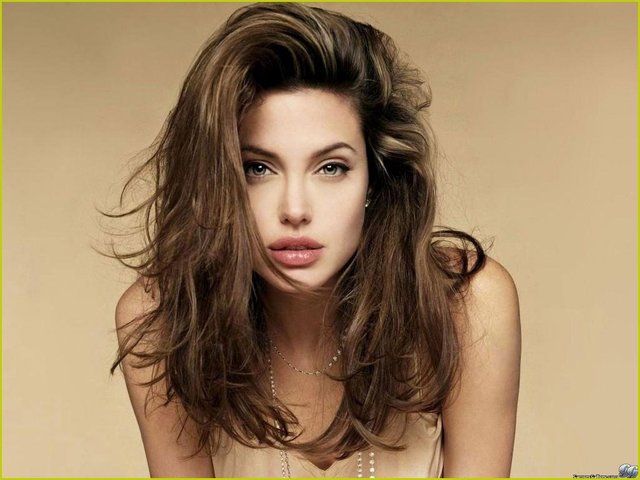 angelina jolie porn porn media naked original nude topless angelina jolie actress fine hollywood charming puzzy