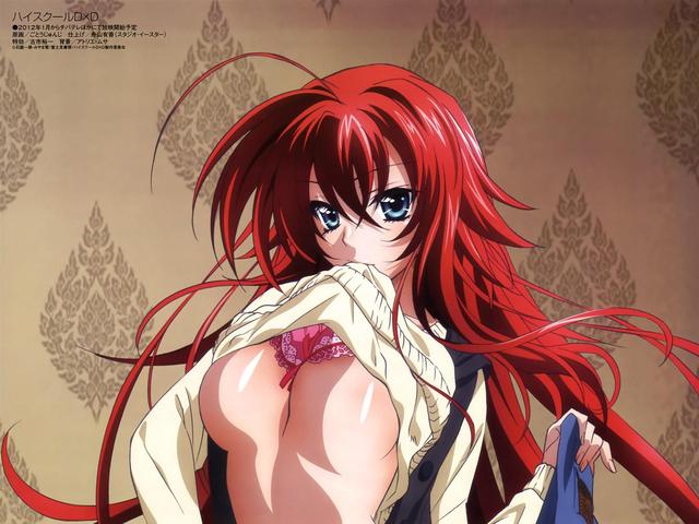 cartoon boobs pic highschool dxd