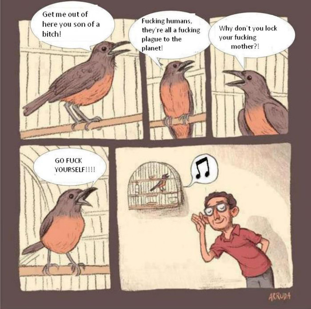 cartoon fucking comic song comics pics bird cage