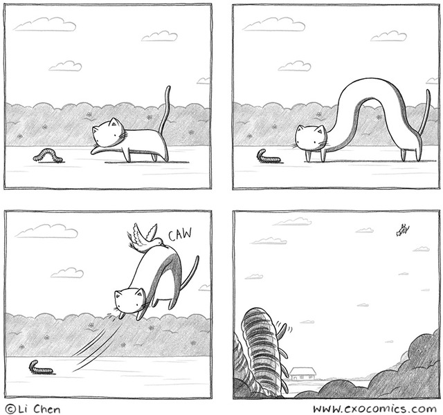 cartoon pon comics comics pics cat exocomics caterpillar