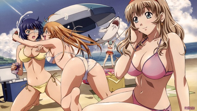 cartoon tits pictures tits cartoon dragon wallpaper destiny female boobs action battle huge characters busty ecchi ikki vixens ikkitousen tousen