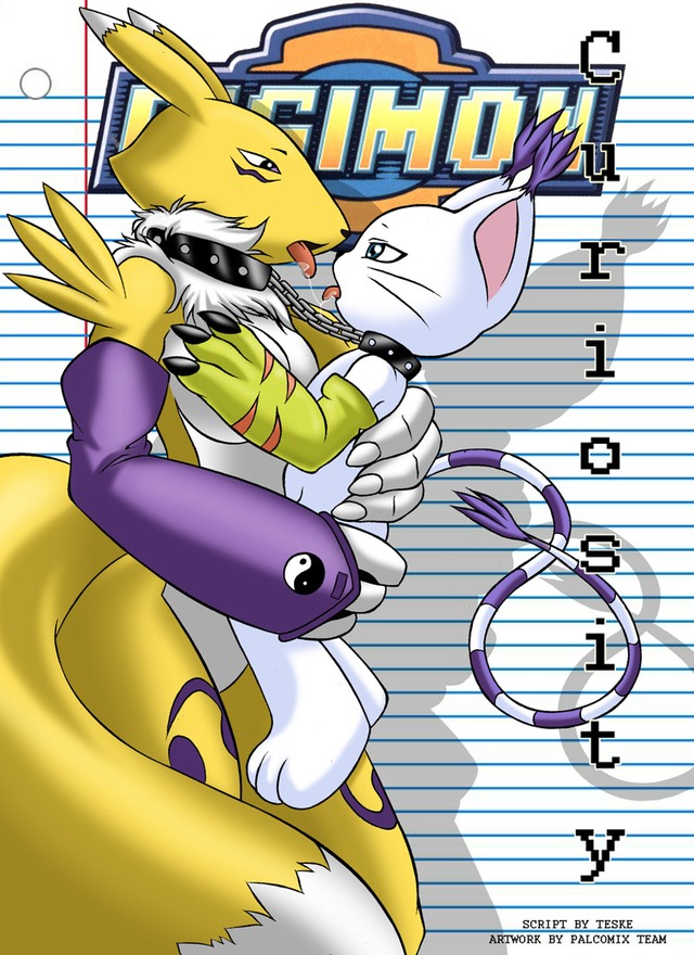 digimon porn comic digimon gatomon palcomix renamon