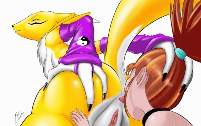 digimon porn animated digimon renamon rika qeesy