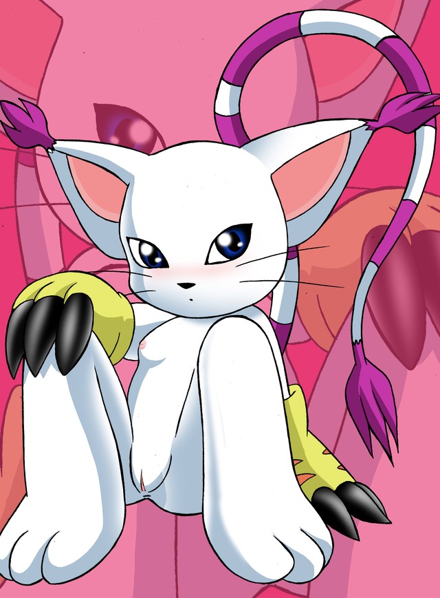 digimon porn digimon gatomon