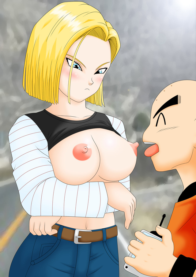 dragon ball hentai hentai dragon ball android krillin