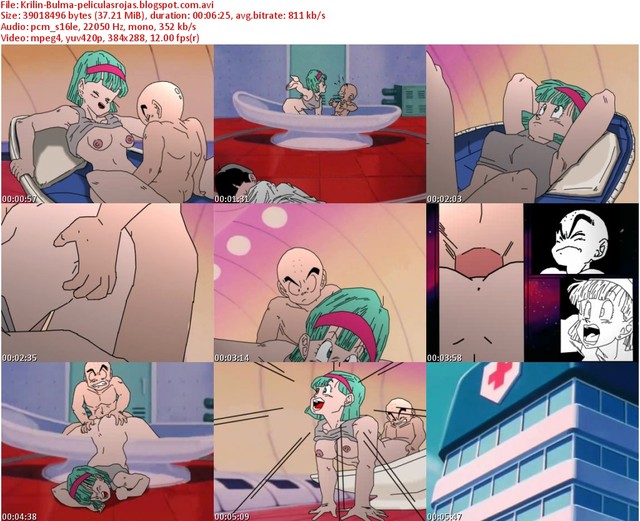 dragon ball porn hentai media original bulma