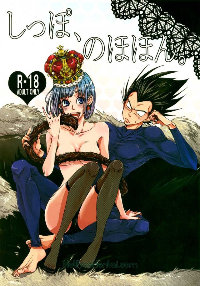 dragonball porn dragon ball gallery cover dragonball tail book