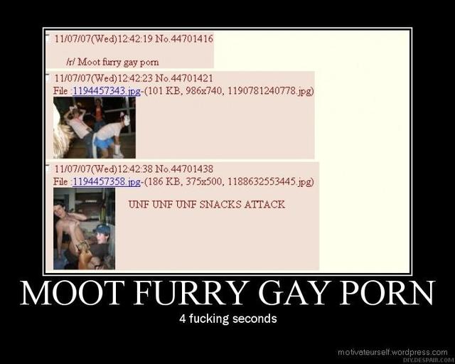 gay furry porn porn page gay furry moot