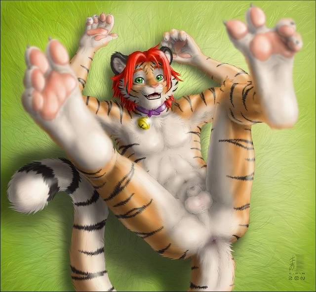 gay furry porn pics gay furry young tiger yiff