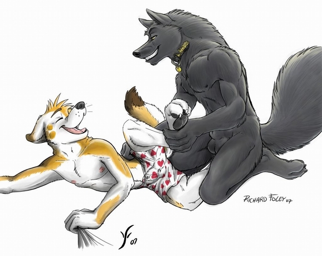 gay furry porn porn pics gay art furry hard wolf dog