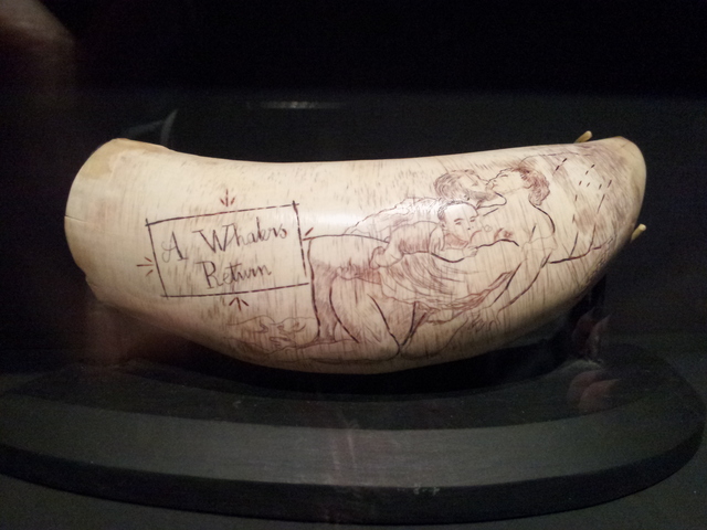 loving simpsons porn vancouver museum scrimshaw maritime