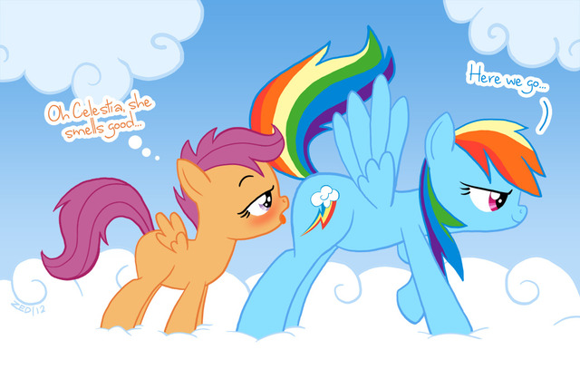 pony porn magic cbf little afe friendship pony rainbow dash scootaloo zed