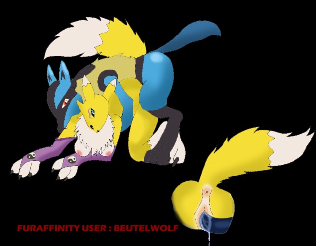 renamon porn crossover digimon renamon porkyman lucario cbac bafdc