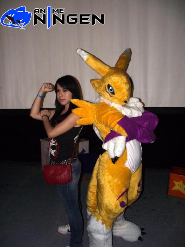 renamon porn art cosplay renamon panda killer zjh