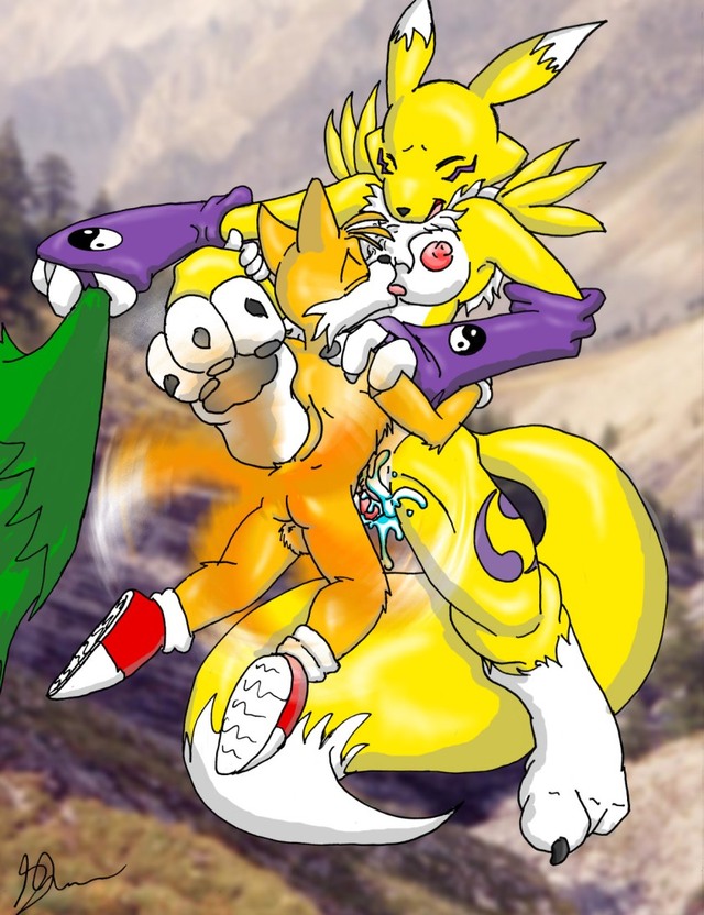 renamon porn entry renamon yiffy