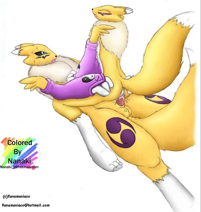 renamon porn porn media digimon