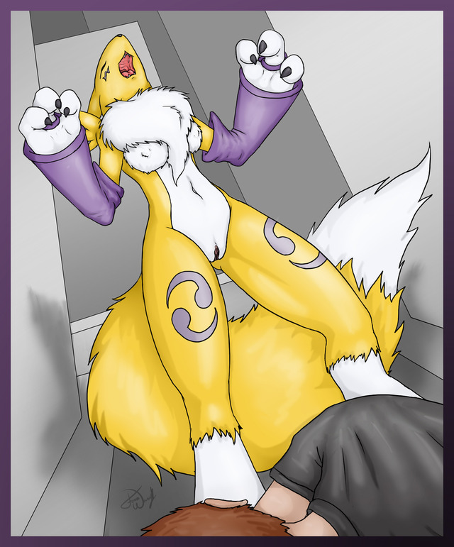 renamon porn ddd digimon renamon acd bbf forceswerwolf