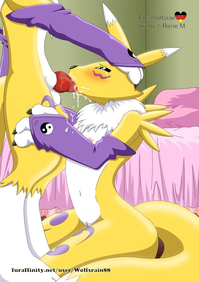 renamon porn porn cartoon furry anime photo renamon