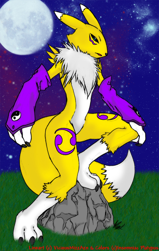 renamon porn art renamon platypus collab mizzviciouz insomniac