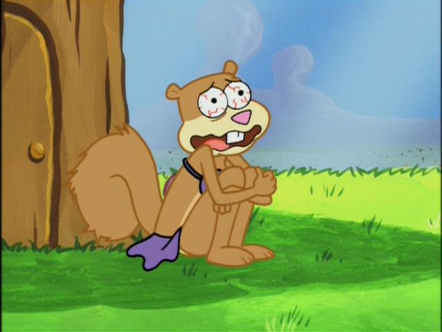 sandy cheeks porn spongebob sandy cheeks ahoy chimps