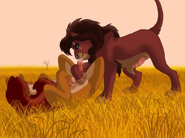 the lion king porn lion king simba kovu