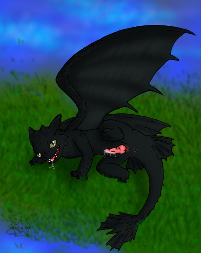 toothless dragon porn dragon how train toothless namelessimp