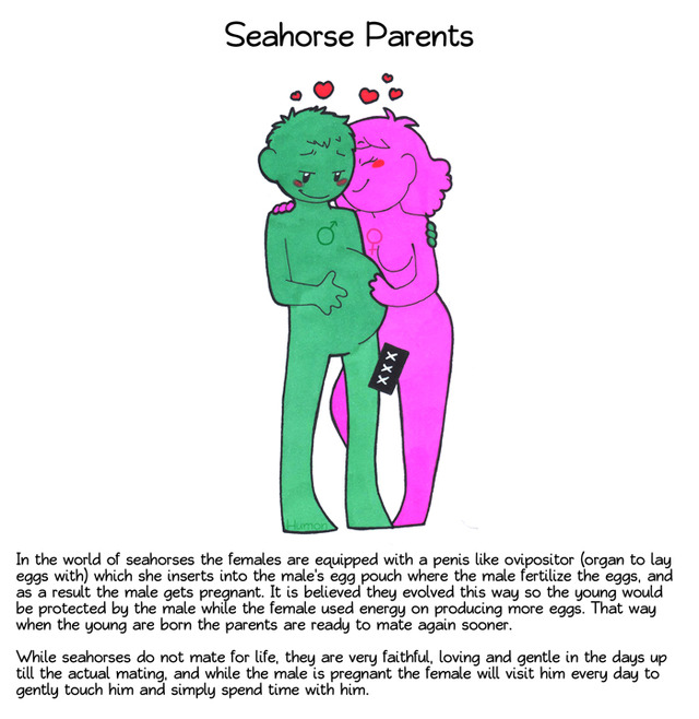 usa cartoon sex pictures porn animal humans seahorse illustrating