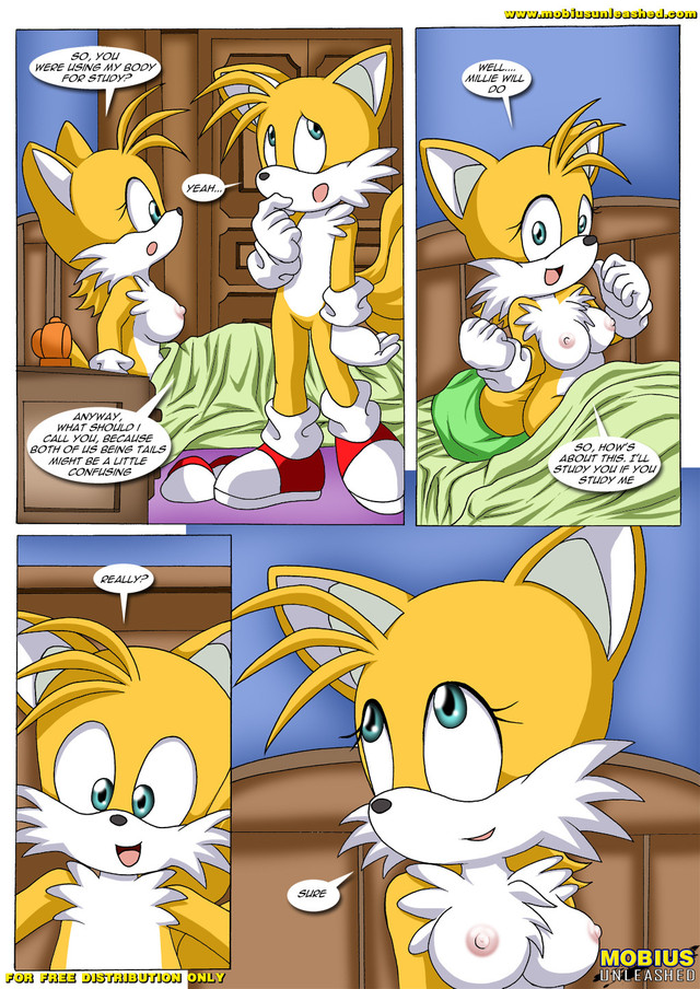 furry cartoon porn comic porn comic cartoon furry anime photo sonic tail study