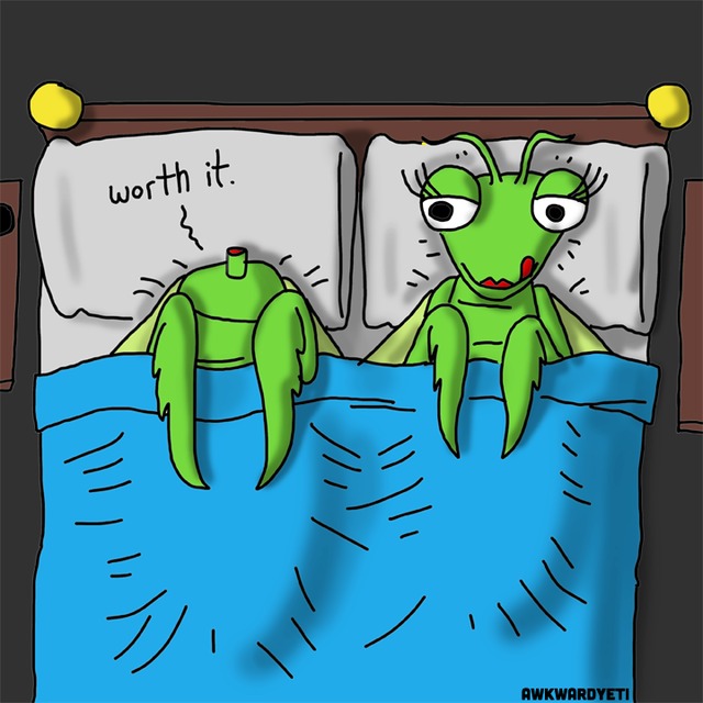 sex comics of cartoons comics pics all mantis