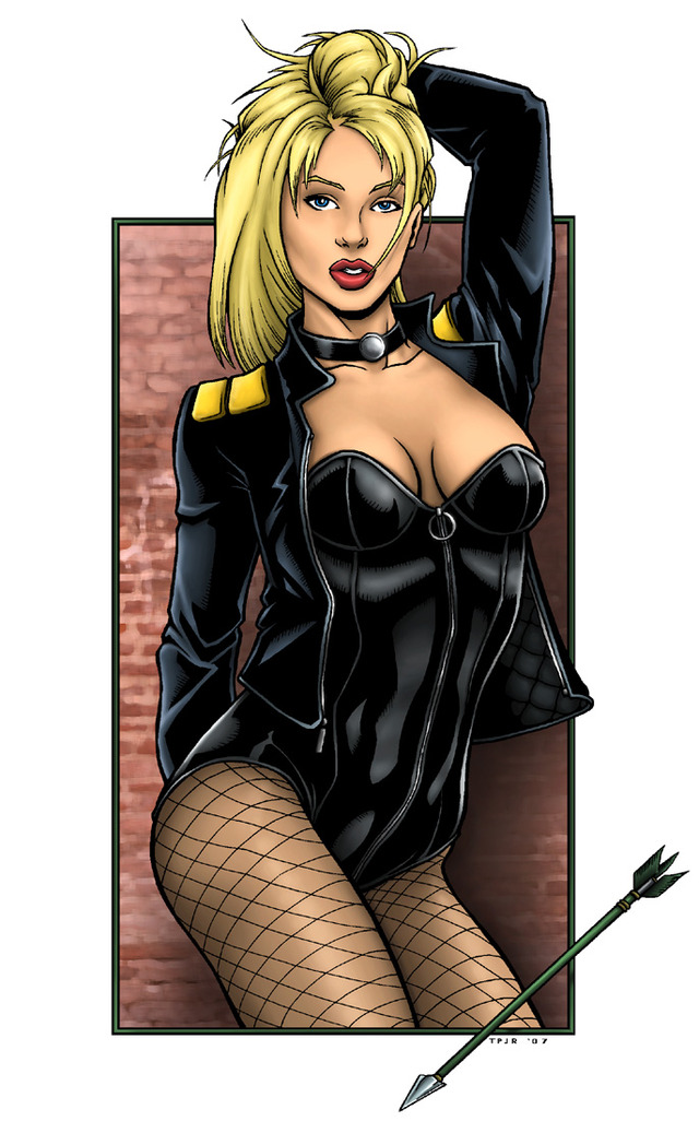 toon black porn justice league cac black canary bbead