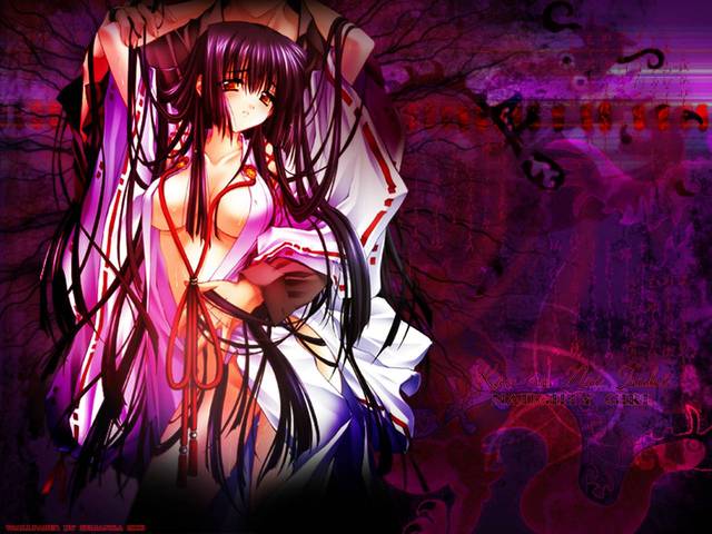 xxx anime pictures xxx manga anime wallpaper animepaper carnelian fightgirl