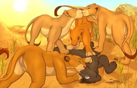 the lion king porn media original lion king porn search page