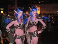 wow porn nelfs blizzcon journey pictures