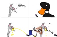 looney toons lola porno bugs bunny daffy duck dolan dooc donald looney tunes meme