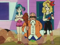 bulma naked dragonball mroshi bulma turtle launchrrs launch