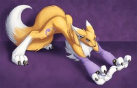 renamon porn renemon friend pinkuh phpboard