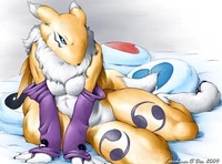 renamon porn albums bobcamo karrf entry