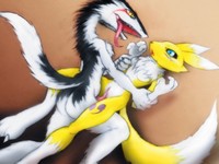 renamon porn anime cartoon porn sergal furry photo