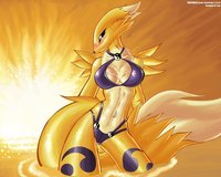 renamon porn ign renamon cloudy punk digimon porn