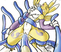 renamon porn def digimon renamon zardman