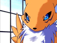 renamon porn renamon window dorcimetal snlpq art