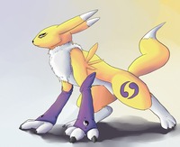 renamon porn renamon dreamprotected ibd art