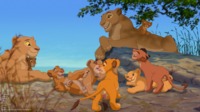 lion king porn nala media lion king porn