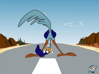 looney tunes porn excelente wallpaper correcaminos looney tunes tama looneytunes taz