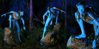 fucked neytiri - avatar chick porn limited edtion neytiri avatar polystone statue inside