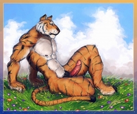 gay furry porn pics gay furry tiger hot photos