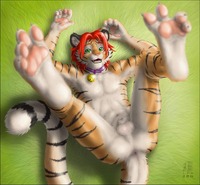 gay furry porn gay furry pics yiff young tiger